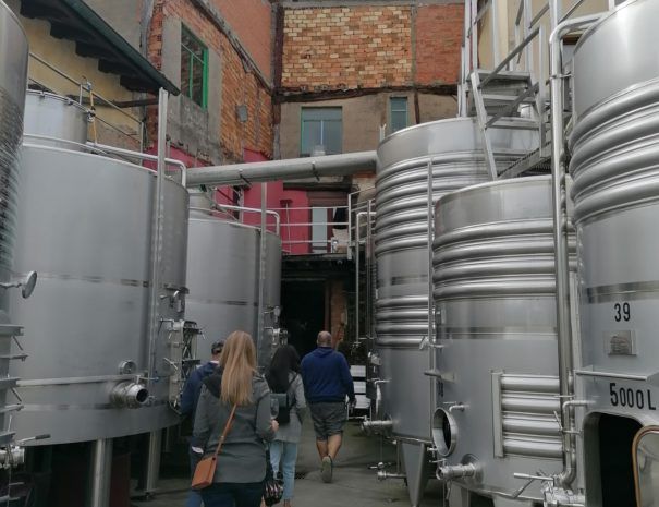 Rioja-winery-tour-bodega-Earra-Tours.12