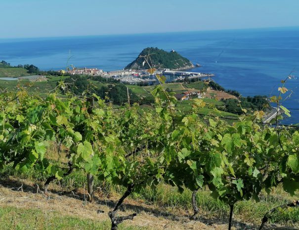 cheese-farm-txakoli-winery-Earra Tours